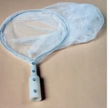 昆蟲網(捕蟲網)