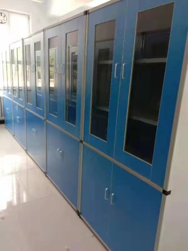 儀器柜藥品柜標(biāo)本柜