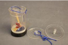 大氣壓系列實(shí)驗(yàn)器